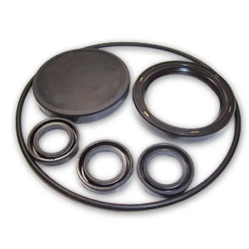Ar Pump Kit 2787 Oil Seals Xmv-Xma (6481) 1
