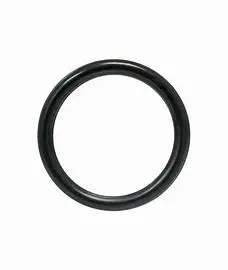 Ar394280 O-Ring By Ar Pumps (3896) 1