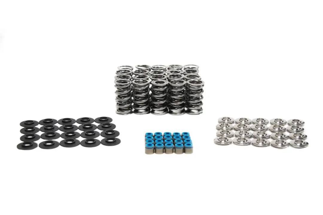 Btr:  Platinum Dodge Viper Dual Spring Kit - .660" Lift 1