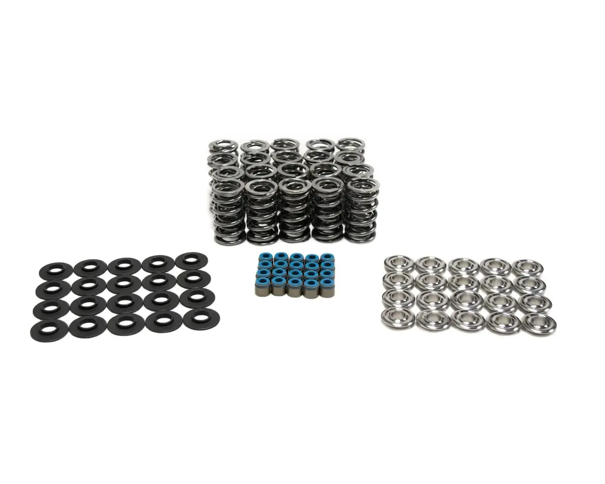 Brian Tooley Racing Sk012/Vsls - Brian Tooley Racing Valve Springs 1