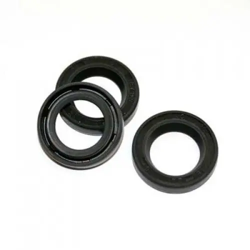 Kit 159 Oil Seal Kit By General Pump (5497) 1