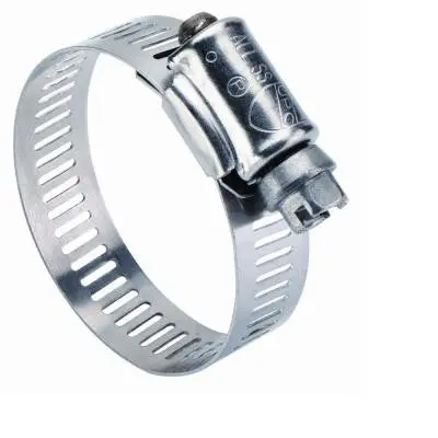 Band Hose Clamps 1
