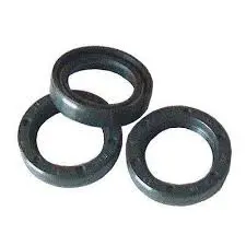Kit 23 Piston Rod Oil Seal By General Pump (1602) 1