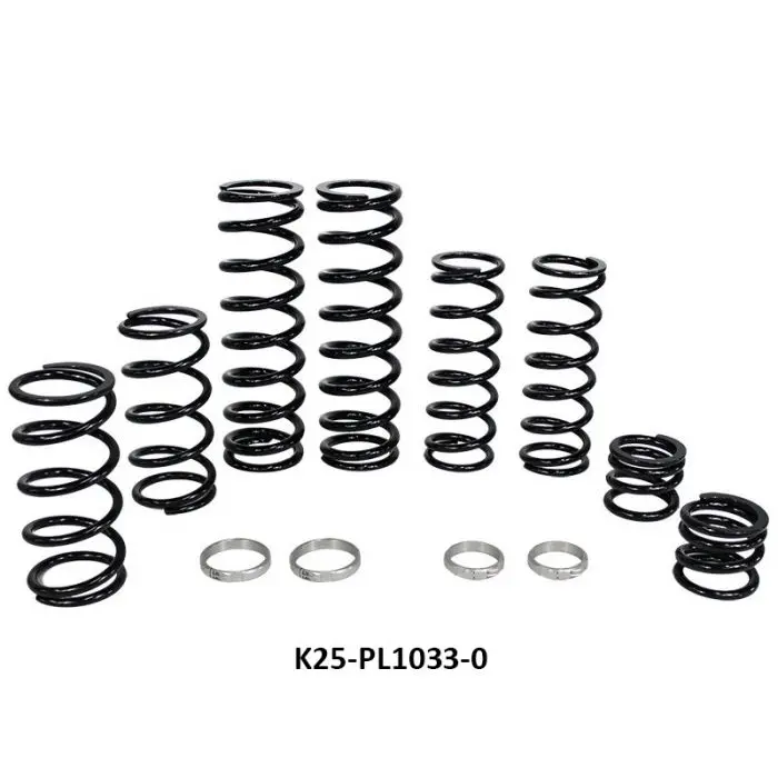 Polaris Rzr Pro Xp 4 Stage 1 Dual Rate Spring Kit (Fox Dynamix Shock) | Zbroz Racing 1