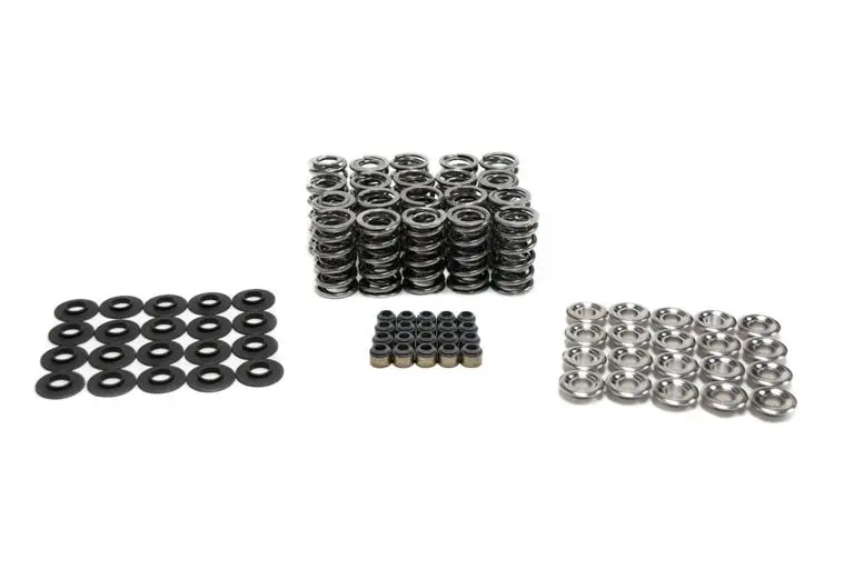 Btr:  Platinum Dodge Viper Dual Spring Kit - .660" Lift 1