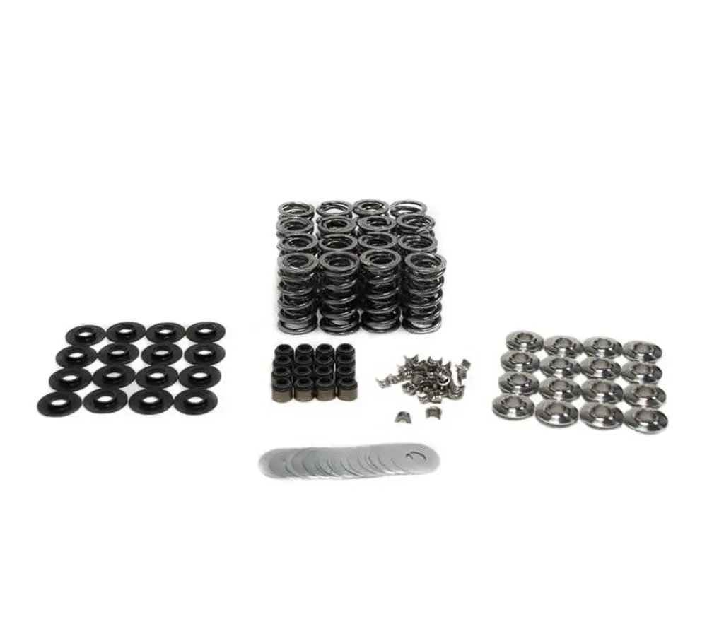 Brian Tooley Racing Sk002/6560/Bb - Btr Platinum Valve Spring Kits 1