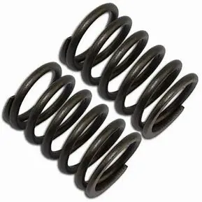 Set (2) Valve Springs Gx160-200 (4184) 1