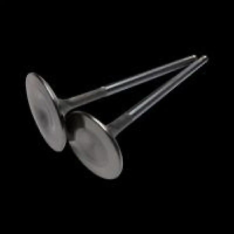 Brian Crower Nimonic Exhaust Valves – 29.2Mm Standard Diameter For Polaris Xp1000 And Xpturbo Models 1